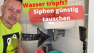 Ablauf und Siphon  Sifon einfach wechseln Wasser tropft [upl. by Janice]