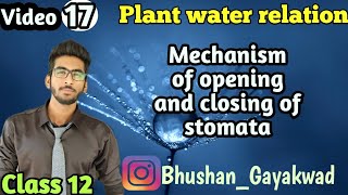 Mechanism of opening and closing of stomata  Part 17  Plant water relation class 12 [upl. by Rebmac]