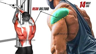 13 BEST REAR DELTOID EXERCISES WITH CABLE ONLY AT GYM [upl. by Yelreveb]