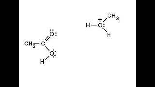 Fischer Esterification Reaction Mechanism  Carboxylic Acid Derivatives [upl. by Orwin]