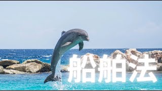 【海事代理士試験】船舶法🚤令和6年🛳️ [upl. by Eiral629]