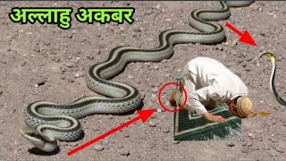 prayerthe snake came in front of the prayer then what happened [upl. by Lenora]