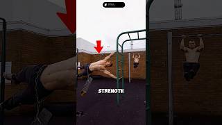 Craziest Strength Display [upl. by Syverson]