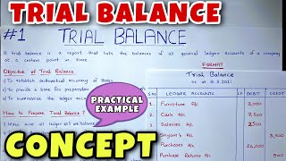 Trial Balance  Concept amp Problem  Class 11  BCOM  CA Foundation [upl. by Navy]