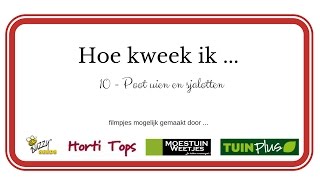 Hoe kweek ik Poot Uien en Poot Sjalotten DEEL 1 en 2 [upl. by Benedix]