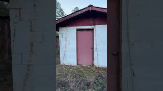 Outstanding transformation on my grandads shed treemaintenance landscape yardwork [upl. by Divd]