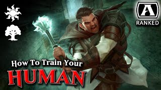 Training Humans  Crimson Vow Standard  Ranked  MTG Arena [upl. by Doris587]