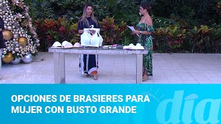 Opciones de brasieres para mujer con busto grande [upl. by Ji]