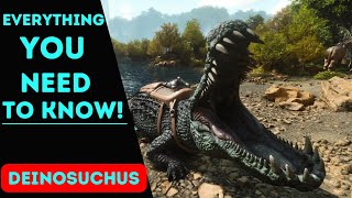 Everything you need to know  Deinosuchus  Ark Survival Ascended [upl. by Verney]