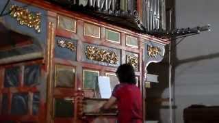 TOURDION Pierre attaignant Organ [upl. by Willmert]