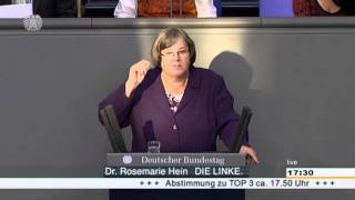 Rosemarie Hein DIE LINKE Fachkräfteprogramm unverzüglich auf den Weg bringen [upl. by Eyks]