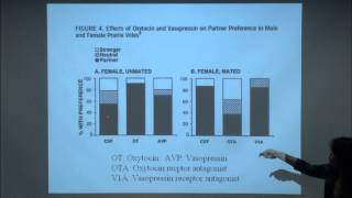 Brain and Behavior  Neurobiology of Love [upl. by Dustman32]