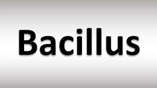 How to Pronounce Bacillus [upl. by Purington]