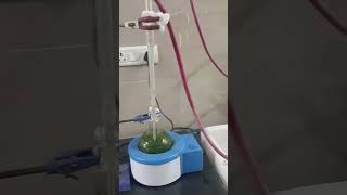 Extraction of Lemongrass by Hydro distillation method pharmacy pharmacognosy pharmacology [upl. by Nahtahoj]