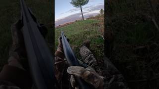 My first turkeys turkey hunt [upl. by Ahsienom]