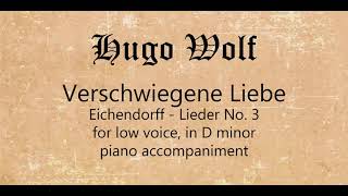 Verschwiegene Liebe for low voice piano accompaniment [upl. by Akenahs]