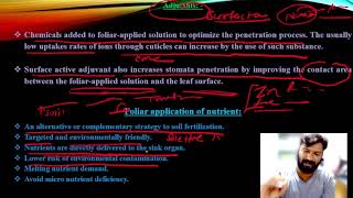 Foliar uptake Mechanism ARS exams [upl. by Janith]