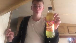 Drink review trying Barr candy creations fruit burst [upl. by Elbas216]