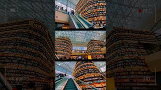 “Discover the magic of Starfield Library in Seoul StarfieldLibrary BookLoversParadise” seoul [upl. by Kemp]