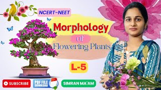 Morphology of Flowering Plants L 5  Parts of Flower  NCERT Class 11NEET 2025  Simran Maam [upl. by Marjy]