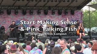 Start Making Sense amp Pink Talking Fish 202405 24 [upl. by Ajuna]