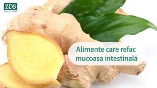 Alimente care refac mucoasa intestinală [upl. by Dysart]