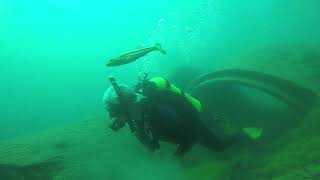 Boyles Law Balloon Test Scuba Diving [upl. by Yenor]