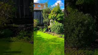 Garden Tour Back Yard In 1 Minute [upl. by Esyak665]