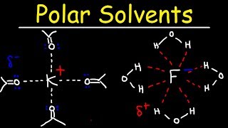 Polar Protic Solvents and Polar Aprotic Solvents For SN1 amp SN2 Reactions [upl. by Alegnasor]