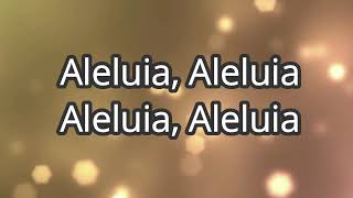 Hallelujah Aleluia  playback e letra [upl. by Reube698]