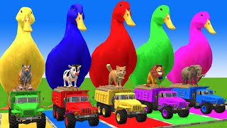 5 Giant Duck CartoonCowElephantTigerLionDinosaurPaint Wild Animals Crossing Fountain Animation [upl. by Asereht]