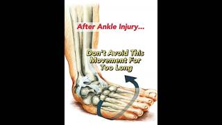 After Ankle Sprain Dont Avoid This Movement [upl. by Henryk]