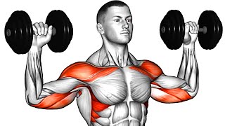 How To Start Building Muscle For Beginners [upl. by Aniretak]