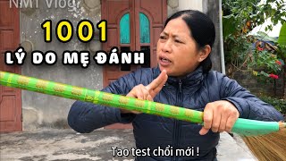 1001 Lý Do Mẹ Đánh  NMT Vlog [upl. by Alphard436]