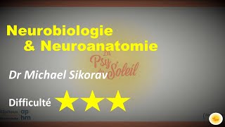 Neurobiologie amp neuroanatomie  Dr Michael SIKORAV [upl. by Usanis]