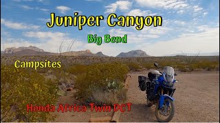 Juniper Canyon  Big Bend National Park  Honda Africa Twin DCT 2019  Campsite Scouting [upl. by Ecile832]