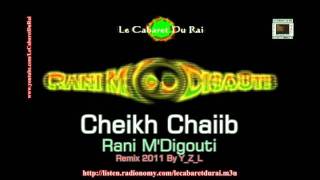 Rai Gasba 2011 Cheikh Chaiib  Rani MDigouti Remix By YZL [upl. by Moia543]