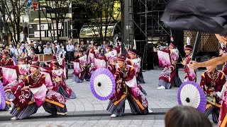 躍動  東京よさこい２０２４（池袋西口公園会場） [upl. by Akerdnuhs]