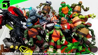 DREAM BOX of TOYS  Teenage Mutant Ninja Turtles [upl. by Layton]