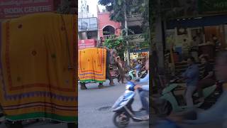 Haathi mere Saathi elephant elephantvideo sanwargadri tamil [upl. by Guntar609]