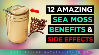 Sea Moss Gel 12 Amazing Health Benefits amp Side Effects [upl. by Hatnamas]