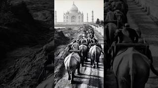 OLD Taj Mahal shorts shortvideo [upl. by Stonwin719]