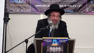 Yerushalayim Yarchei Kallah HARAV DOVID COHEN Rosh Yeshiva Yeshivas Chevron 2222022 [upl. by Arinaid]