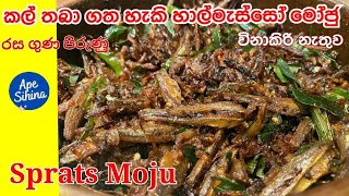 හාල්මැස්සෝ මෝජු  Sprats Recipe  Halmasso Recipes  Halmasso Moju  Halmasso Baduma  Sprats [upl. by Melba]