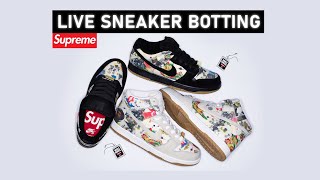 🔴 LIVE COP  Botting the Supreme Nike SB Dunk High Low Rammellzee [upl. by Akcemat790]