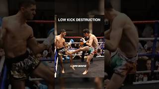 Low Kick destruction lowkick muaythai siamboxing muaythailife [upl. by Haisoj]