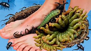 ASMR Foot Care Removing All the Creepy Crawlies from foot  Animation treatment [upl. by Odlanyar428]