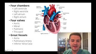 Had an echocardiogram Heres how to understand your results [upl. by Okkin977]