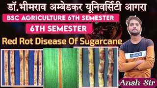 Red Rot Disease Of Sugarcane Disease Of Field And Horticultural Crops And Their Management 02 [upl. by Lillie220]