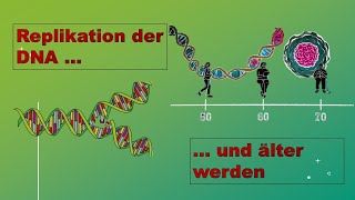 Vedopplung Replikation der DNA Zellbiologie Vorlesung 9 with english subtitles [upl. by Waters]